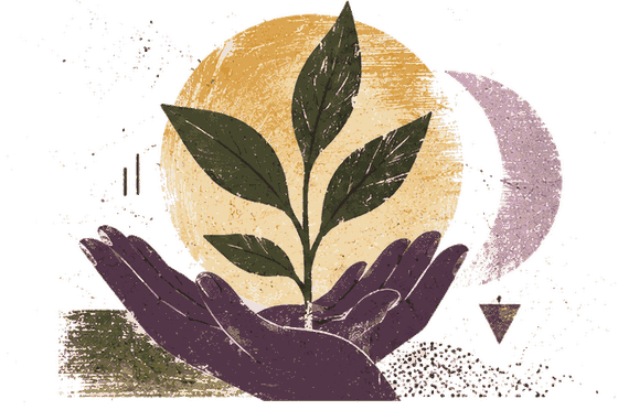 Two hands holding a sprig